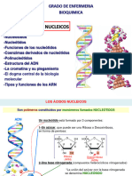 4-Acidos Nucleicos I