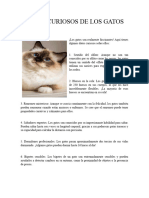 Datos Curiosos de Los Gatos