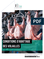 Conditions Dabattage Des Volailles