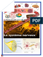 Le système Nerveux  KH (3)