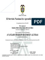 Certificado Curso de Alturas