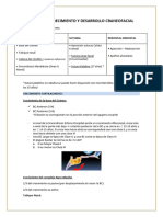 Crecimiento y Desarrollo Craneofacial