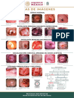 Cartel Atlas de Salud Ginecologica 2020 50x70cm