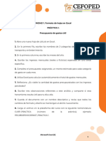 Práctica 1 - Microsoft Excel (II)