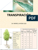 TRANSPIRACIÓN (2024)