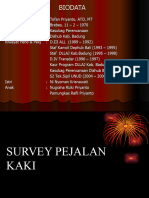 Survey Pejalan Kaki