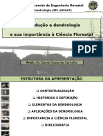 Introdução A Dendrologia UNIVERSIDADE DE BRASíLIA