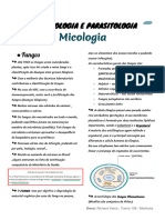 Microbiologia 4ºP - Micologia