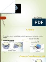 Anatomia Radiologica Do Crânio 1