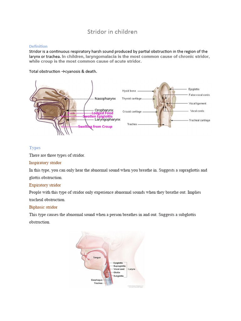 Stridor in Children | PDF | Clinical Medicine | Medical Specialties