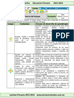 1er Grado Abril - 06 La importancia del bosque (2023-2024) (1)