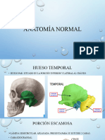 2.2 Cráneo (TEM, ETM, ESF)