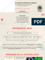 Equipo 3. Primer Parcial