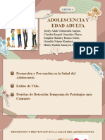 Diapositivas Adolescenciay Edad Adulta