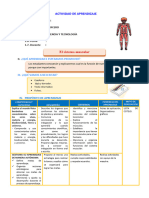 D3 A1 SESION CT. El Sistema Muscular