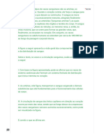 20 - PDFsam - SIMULADO - FUNDAMENTOS DE ANATOMIA