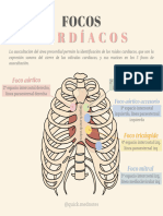 Focos Cardíacos - Quick - Mednotes