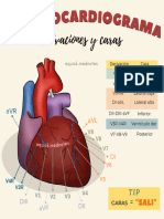 ECG, Caras y Derivaciones - Quick - Mednotes