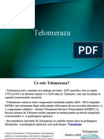 Telomeraza