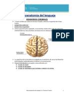 Neuroantomía del Lenguaje
