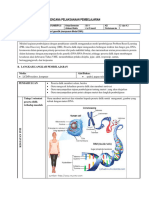 Rencana Pelaksanaan Pembelajaran: Materi: Materi Genetik (Menyusun Model DNA) A. Tujuan