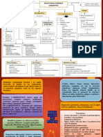 Mapas Conceptuales Lic Sorely Bonilla