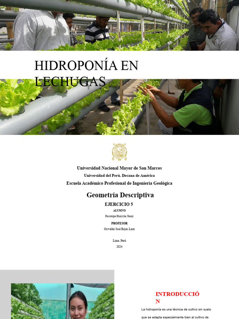 HIDROPONÍA | PDF | Hidroponia | Horticultura