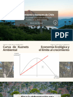 Proyecto Investigación Curva Kuznets Ambiental