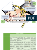 Obligaciones de Los Patrones y de Los Trabajadores