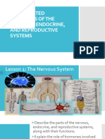 Coordinated Functions of The Nervous, Endocrine, and Reproductive Systems