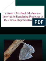 Feedback Mechanism in Female RS