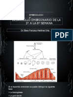 Desarrollo Embrionario Semanas