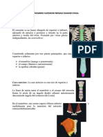 Repaso Anatomia Examen Final