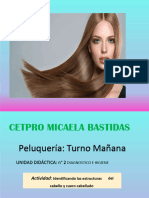 5 Estructura Cabello.