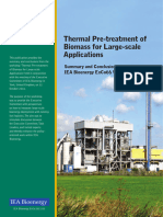 ExCo66 Thermal Pre Treatment of Biomass For Large Scale Applications Summary and Conclusions1