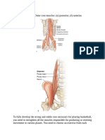 Basketball Anatomy Brian Cole Rob Panariello Z Library 53