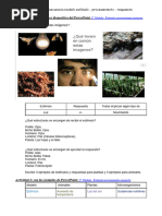 Secuencia de Actividades para Modelo - Est - Procesamiento - Respuesta