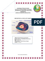 P 2 MICROBIOLOGIA CIAI 1042 GOMEZ QUISPE CINTHIA