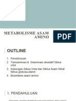 Metabolisme Asam Amino (Pengantar Biokimia)