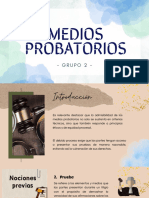 MEDIOS PROBATORIOS (2)
