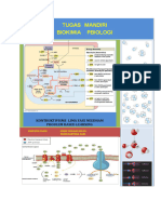 Tugas Mandiri 6 - Biokimia - Aisyah Putri Tamami - 06091182025003