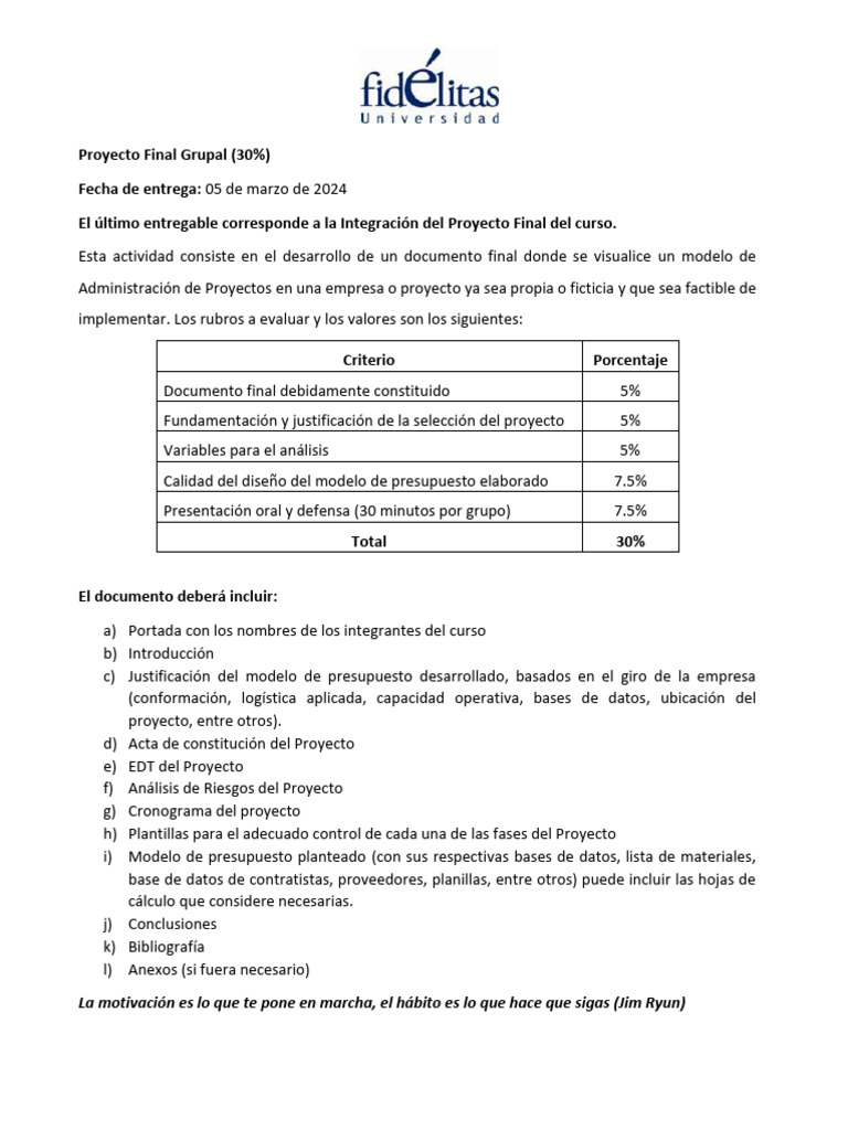 Guía para Proyecto Final Grupal | PDF | Negocios | Informática