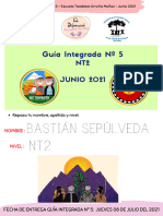 _Guía Integrada Nº5  NT2 (2)