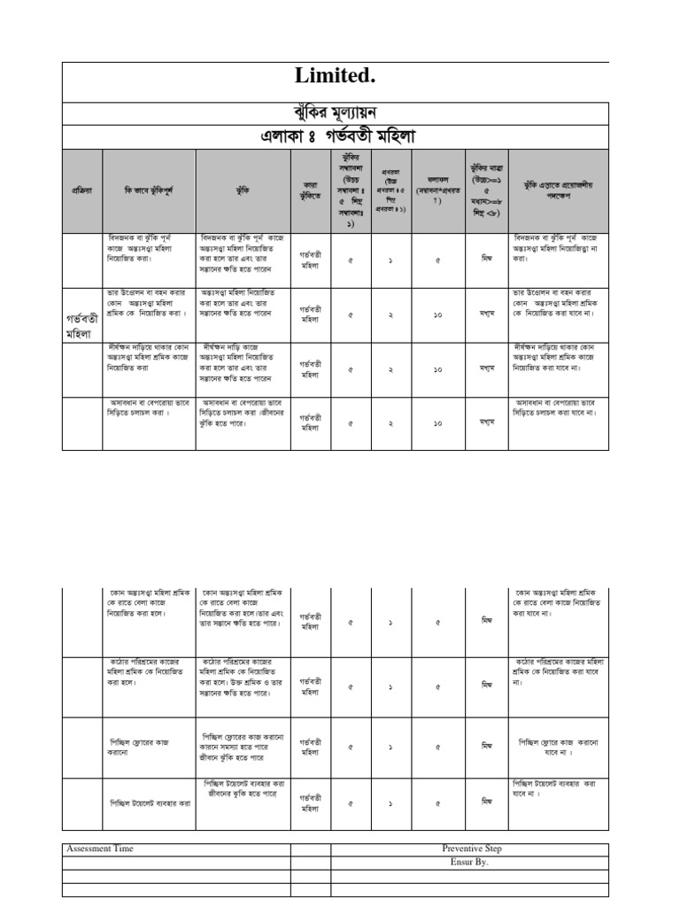 Maternity Risk Assessment | PDF