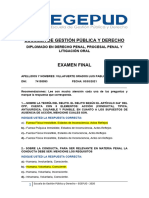Examen Final Derecho Penal, Procesal Penal y Litigación Oral - Villafuerte Grados Luis Pablo