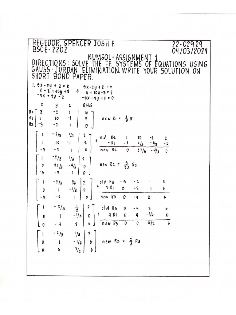 Regedor - Numsol Assignment 1 | PDF