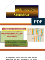 Recombinacion Genética