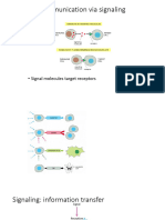 Cell Signaling