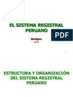 Estructura - y - Organizacion - Del - Sistema - Registral - Peruano Sunarp