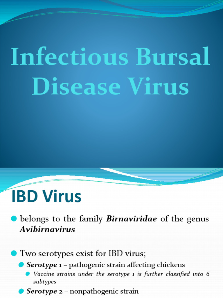 Veterinary Virology Lecture 7 Birna Virus Pdf Virus Microorganism